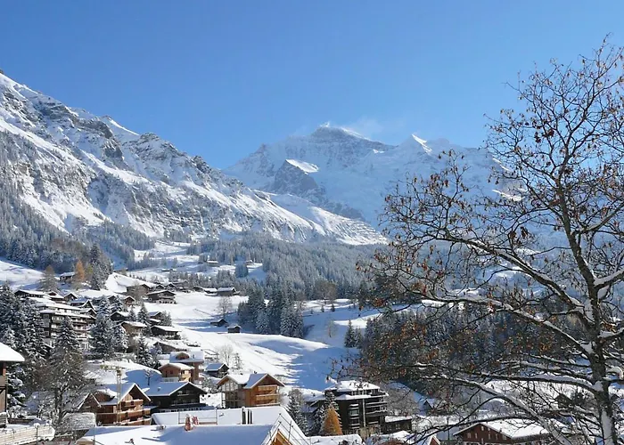 Bella Vista Apt- No- 10 By Interhome Lägenhet Wengen